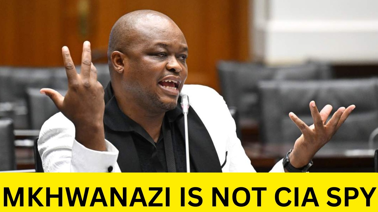 The Mogotsi Saga: A Warning Sign for South Africa’s Security Services