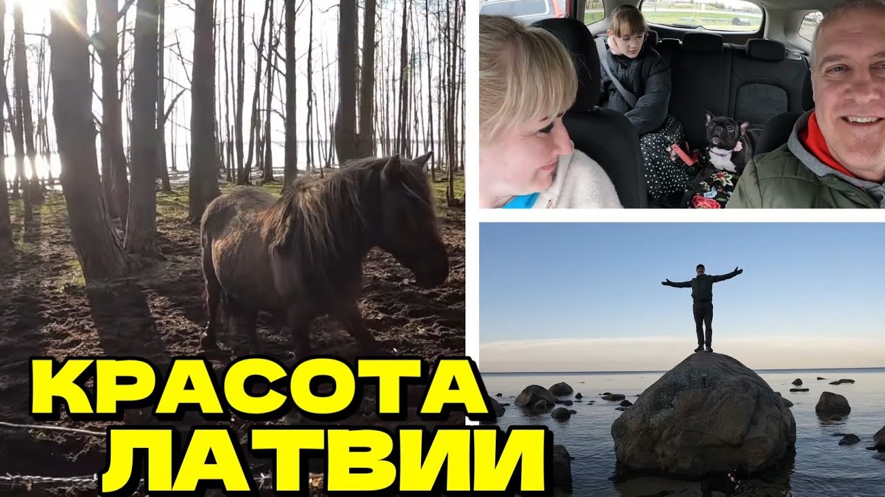 Путешествие по Латвии: Дикие лошади озера Энгуре / Каменистый берег моря Рижского залива г.Роя