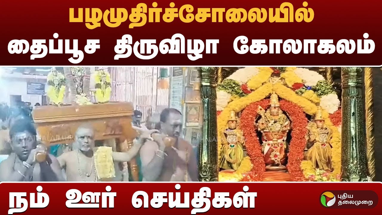 நம் ஊர் செய்திகள் | பழமுதிர்ச்சோலையில் தைப்பூச திருவிழா கோலாகலம் | #murugan | #temple