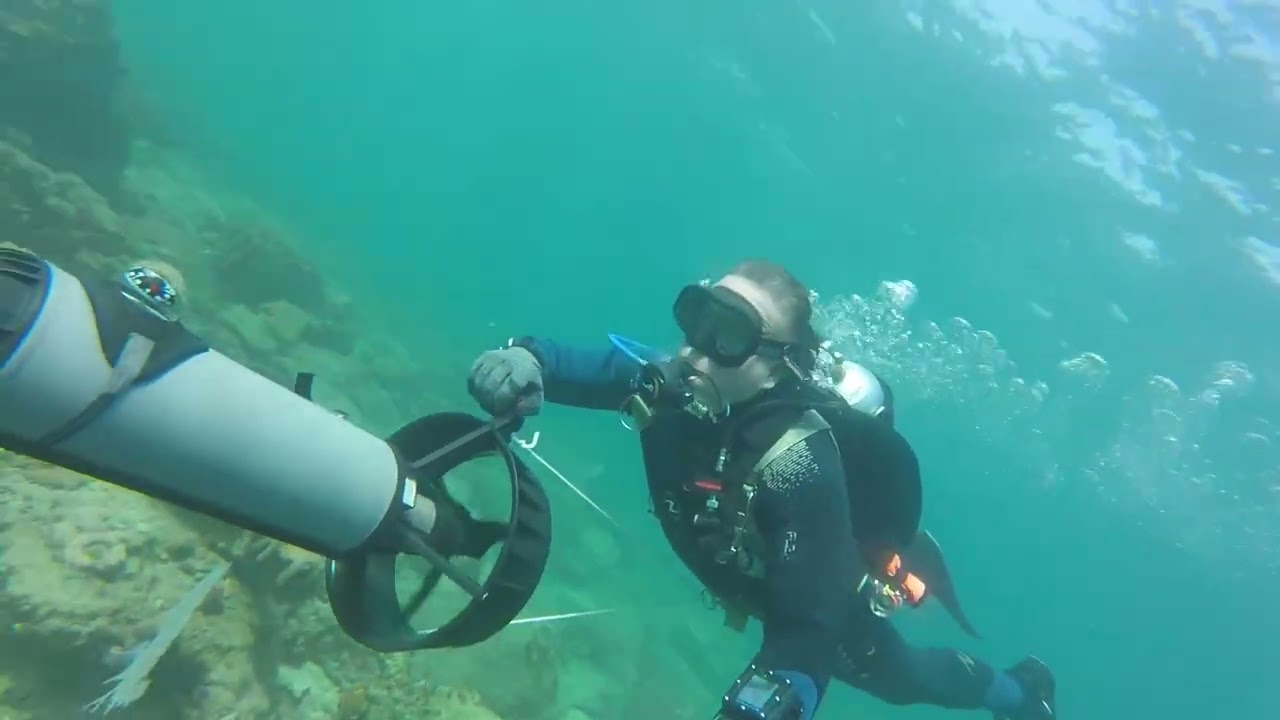 Extreme Solo Beach Dive 02.15.26