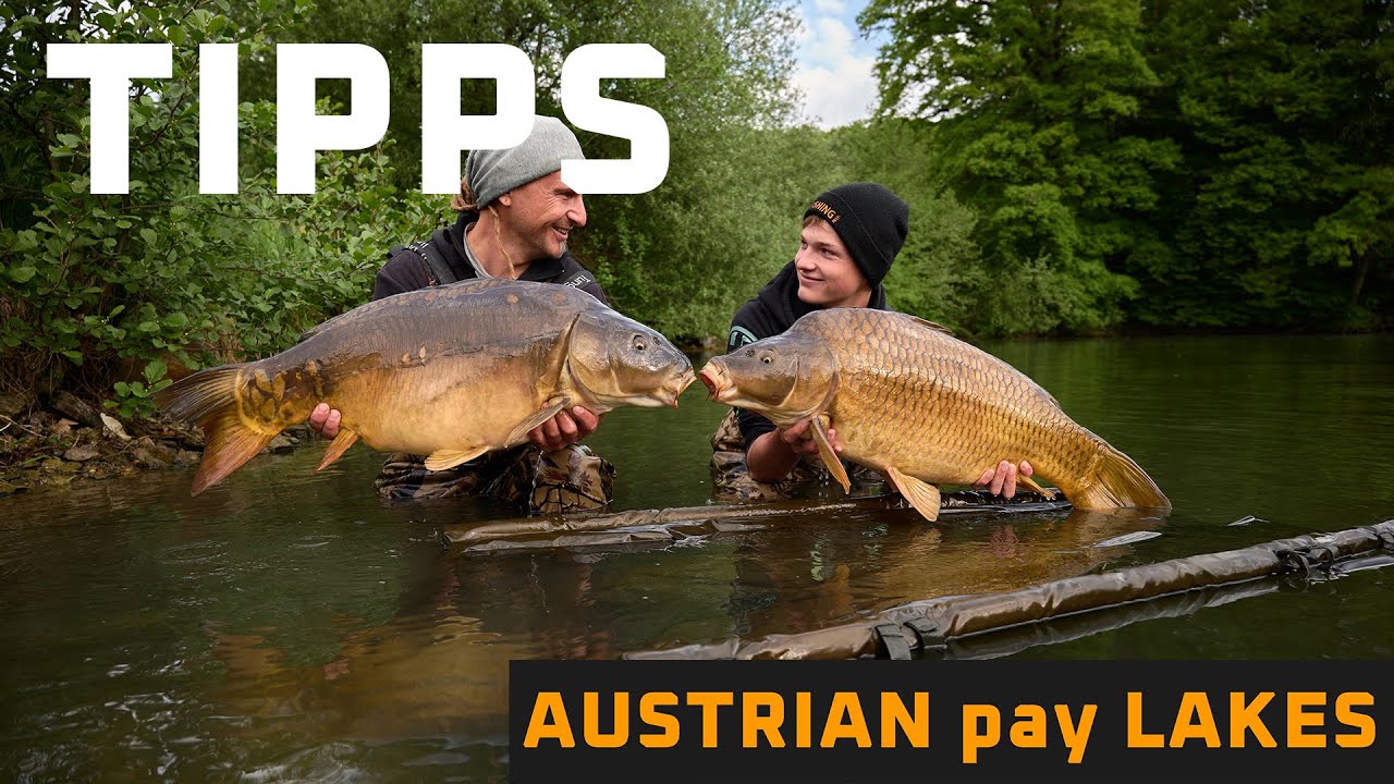 Karpfenangeln bei Austrian Pay Lakes Interview - Austrianpaylakes