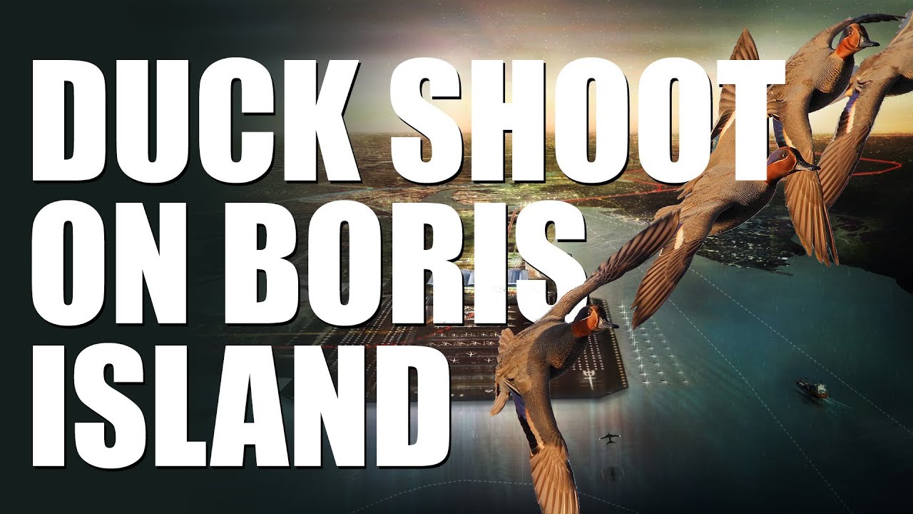 Fieldsports Britain : Duck shoot on Boris Island