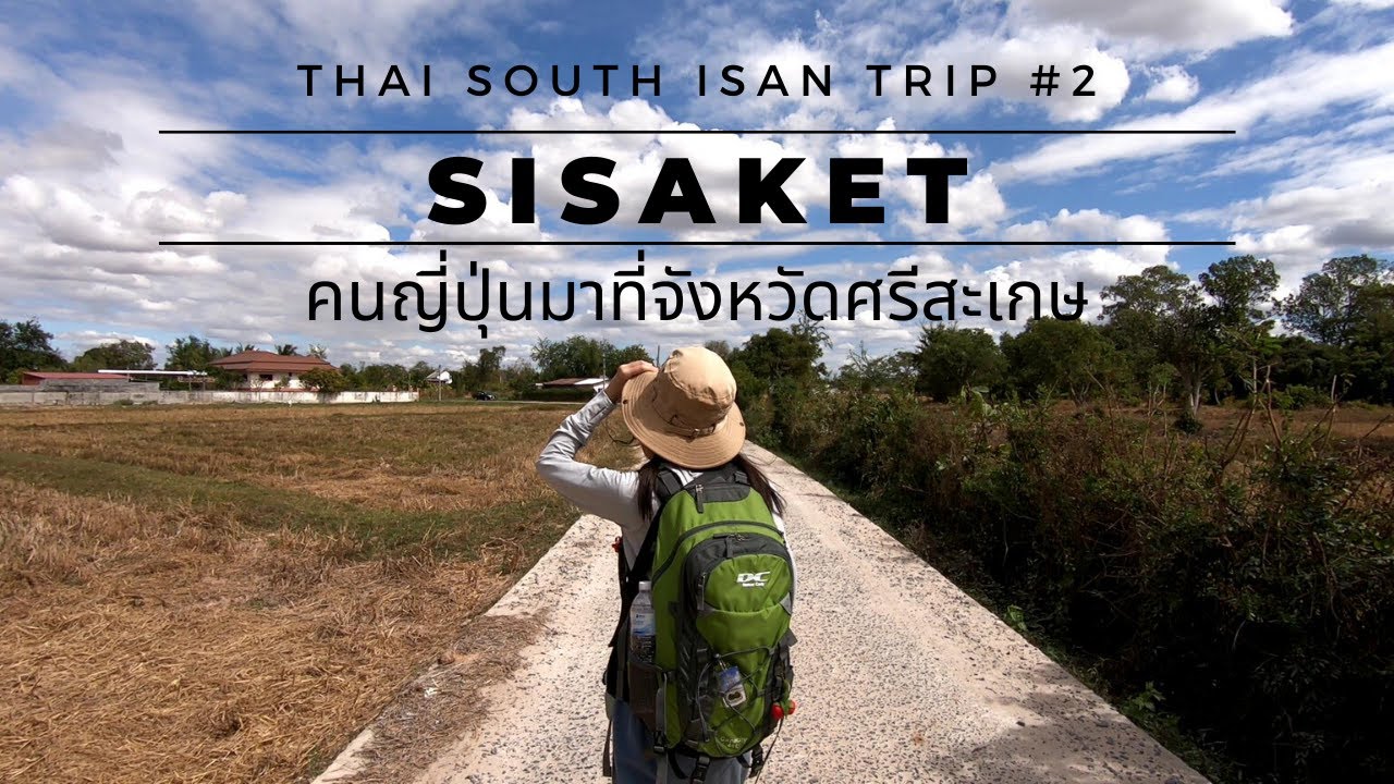 คนญี่ปุ่นเจอถนนวัวที่สวยงามจังหวัดศรีสะเกษ✨ | ท่องเที่ยวอีสานใต้ EP.2