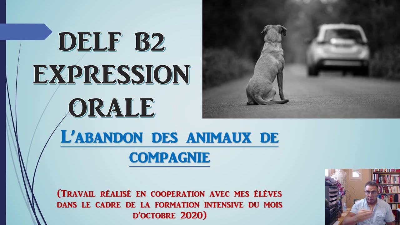 DELF B2   EXPRESSION ORALE   ABANDON ANIMAUX COMPAGNIE