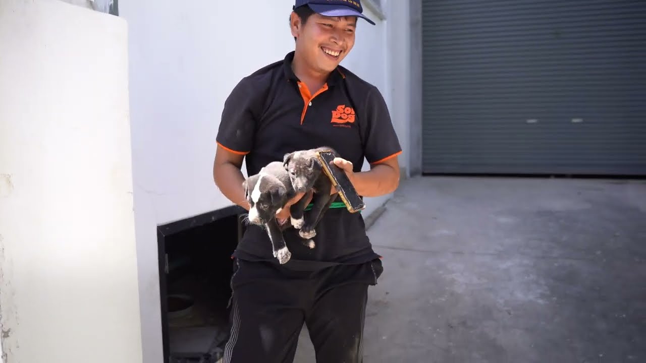 Abandoned puppies rescued from disused factory