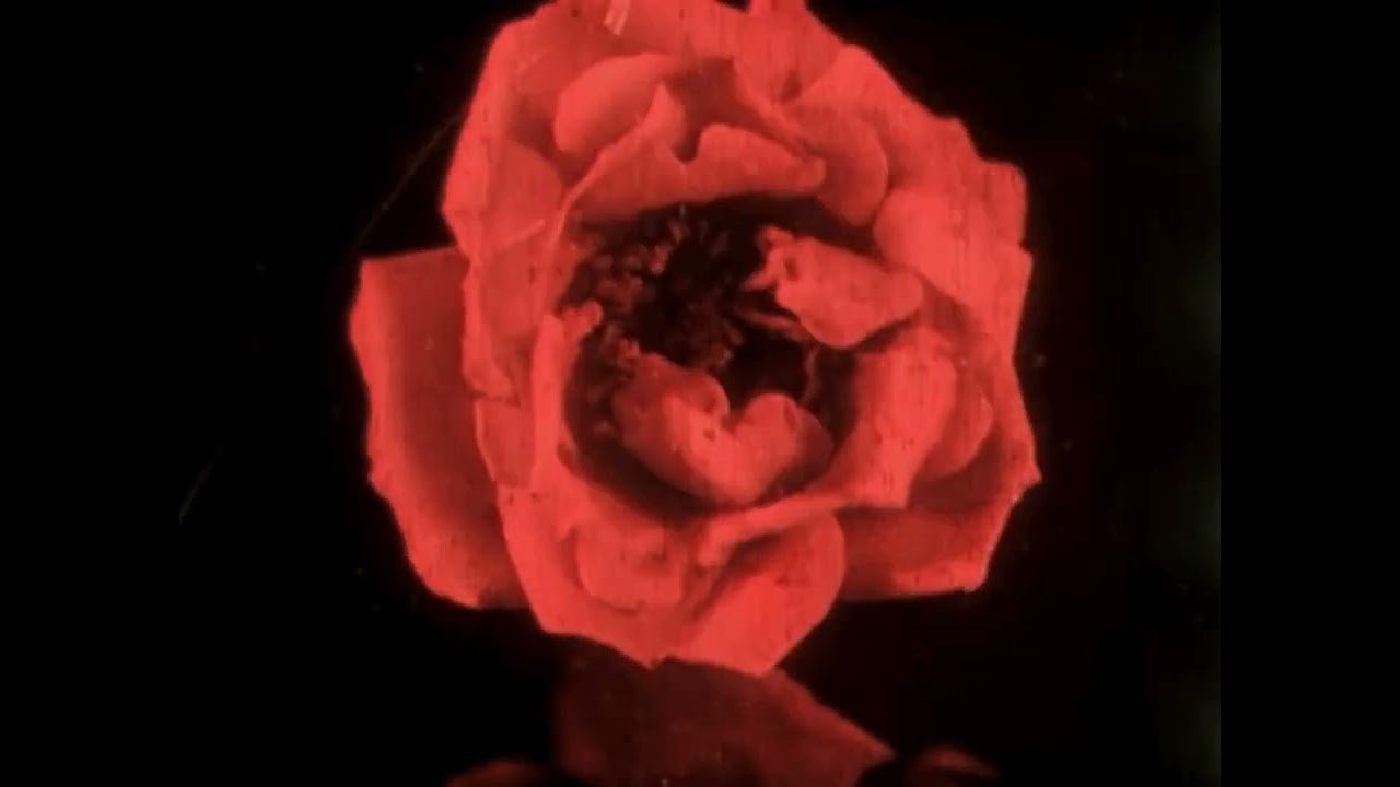 SUI UZI - Flames of Desire (slowed)