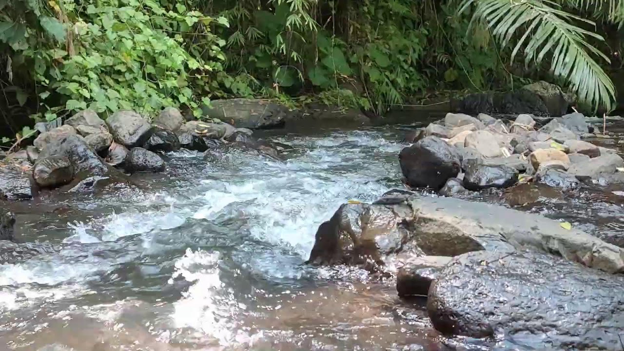 Relaxing River Sound for Study & Focus -  Forest Stream Ambience