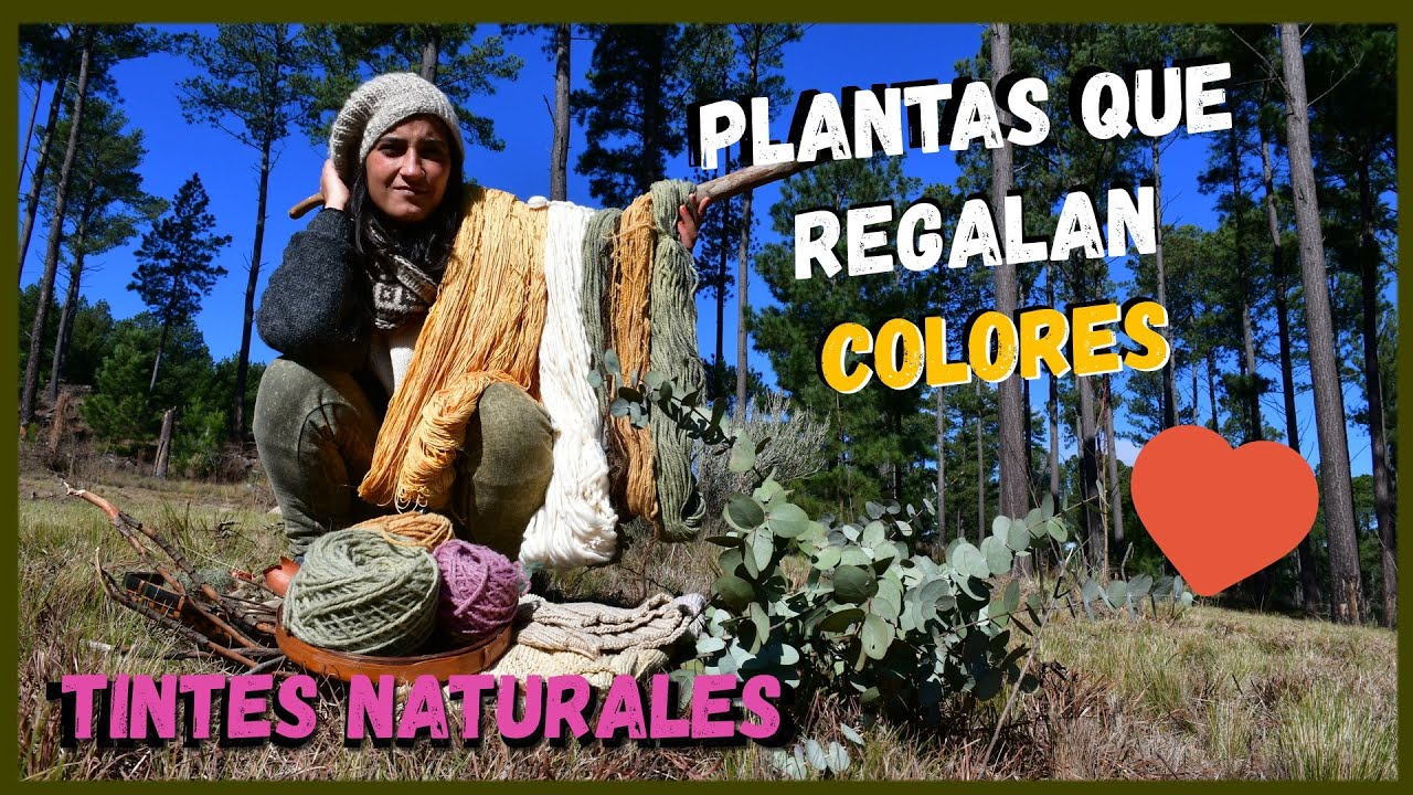 Como teñir con TINTES NATURALES 🧶🌿🌿| TEJIDOS con colores de las SIERRAS
