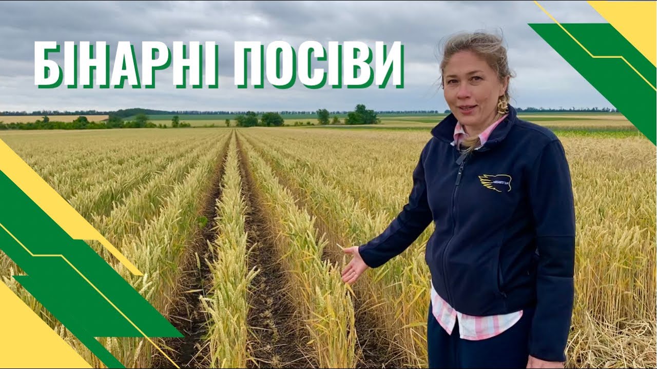 Бінарні посіви