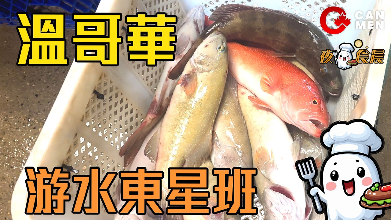 溫哥華Kingsway 游水東星班 勁抵扇貝邊度買？ 夜鬼食晨 住加男人