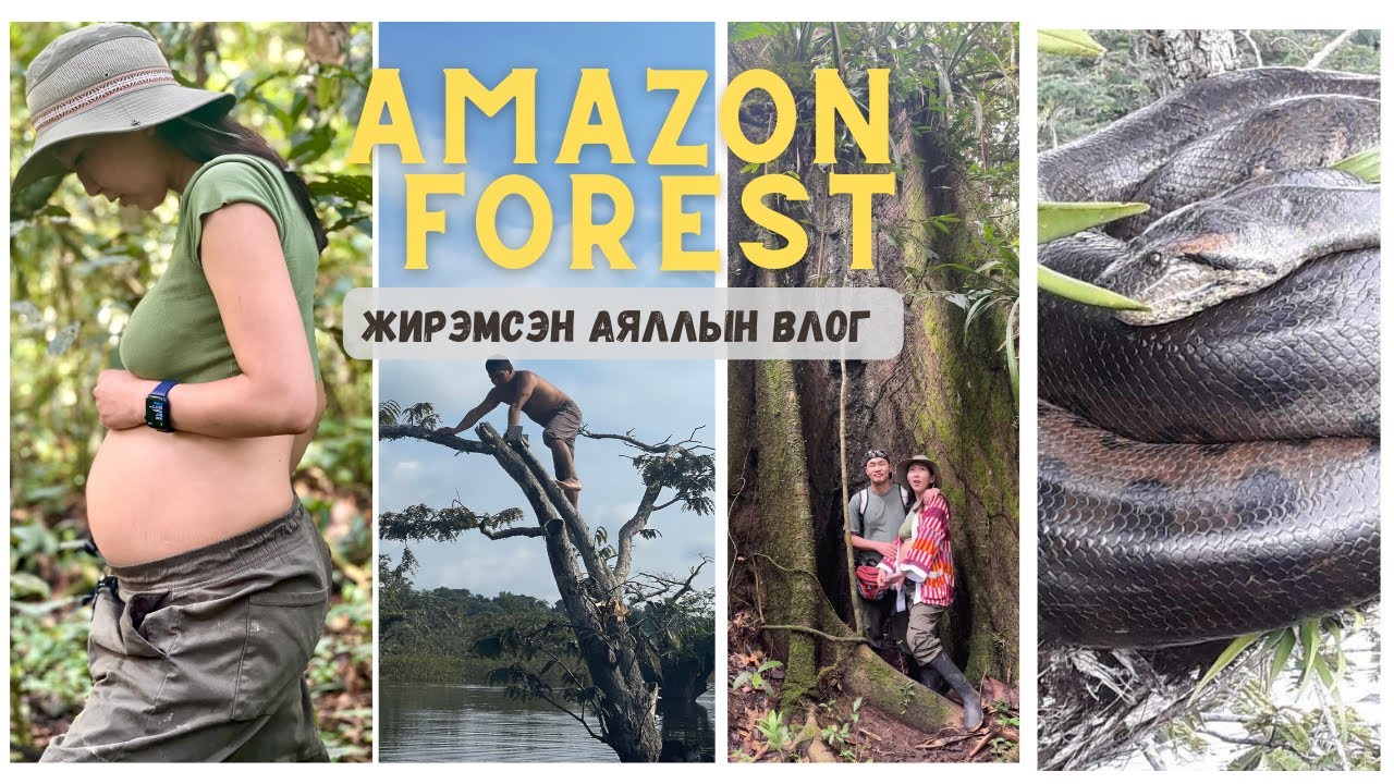 АМАЗОНЫ ШИРЭНГЭН ОЙД АЯЛСАН НЬ - Babymoon Trip @Ecuador Cuyabeno Wildlife Reserve
