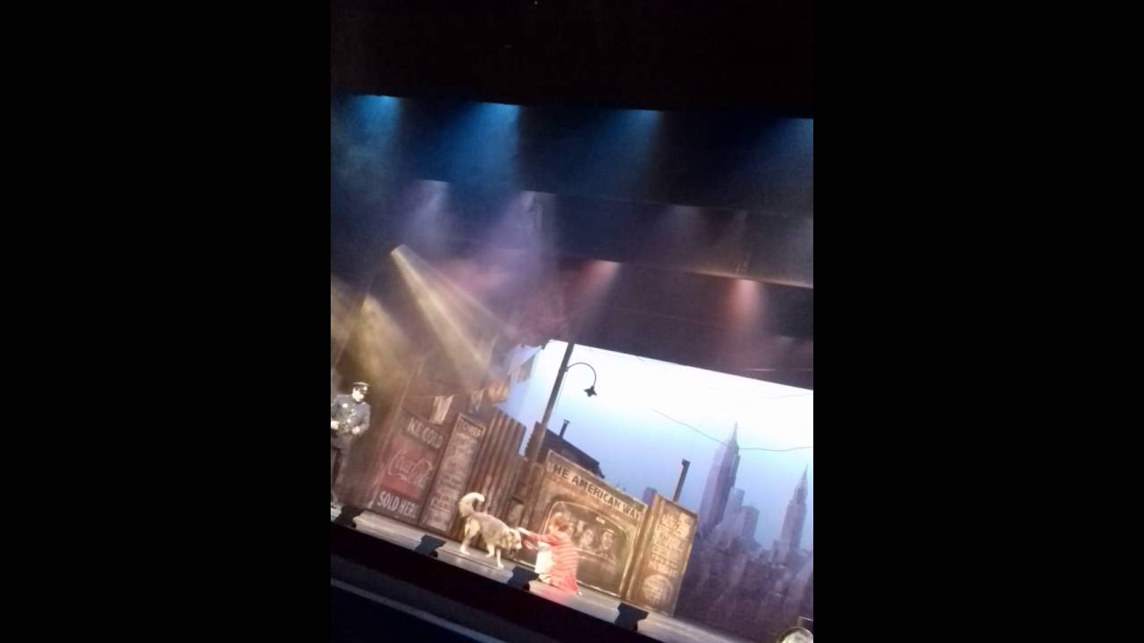 ELAINE  HARO   Mañana  en *  Annie *