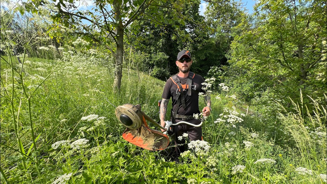 Cutting really big grass with Stihl Fs 490-C with 3,3 mm line. ( Motocoasa Stihl in iarba mare.)