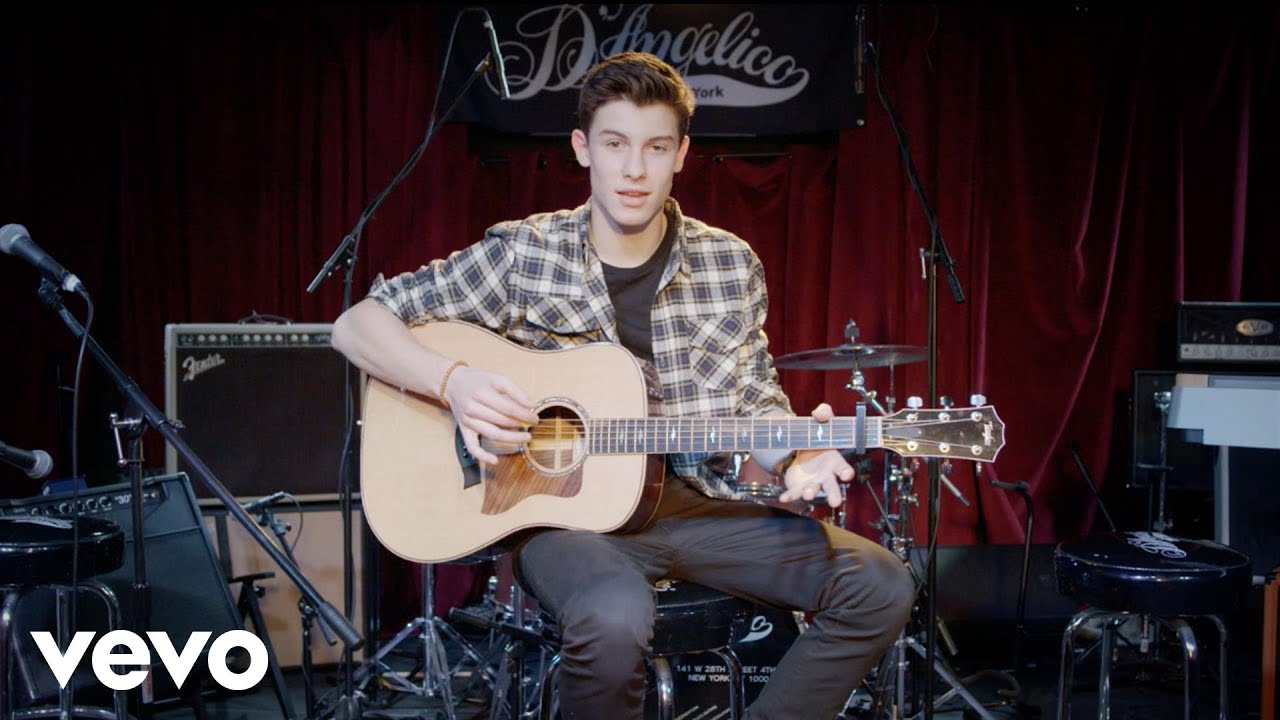 Shawn Mendes - Learn To Play 