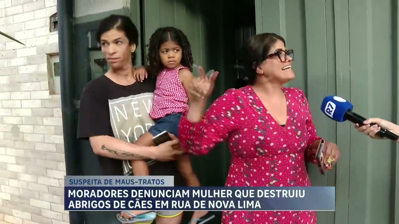 Moradores denunciam mulher que destruiu abrigos de cães em rua de Nova Lima (MG)
