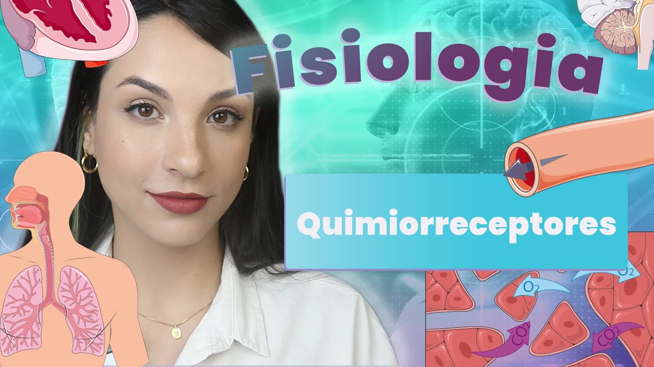 Quimiorreceptores | Fisiologia | Flavonoide
