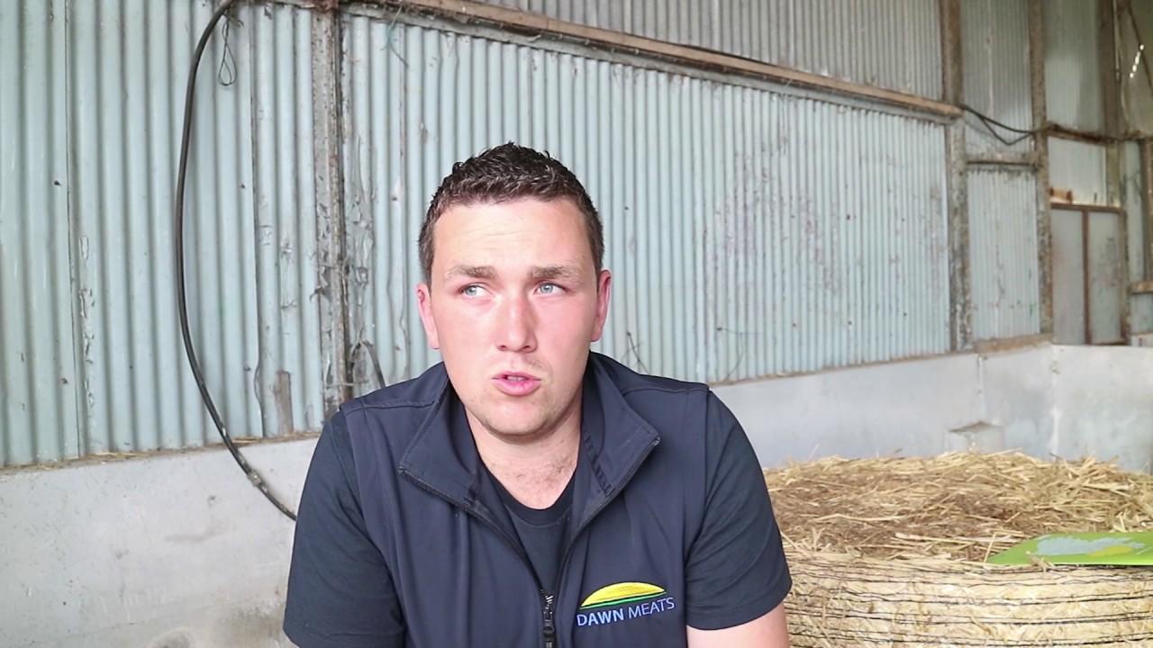 Newford Farm update - 20 July 2017