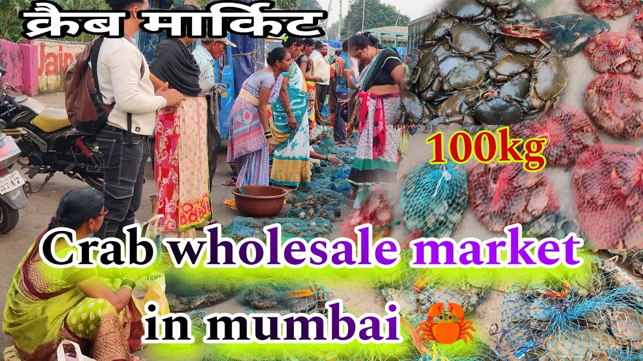 क्रैब मार्किट | crab market | carb wholesale market in mumbai | mumbai crab market | fish market