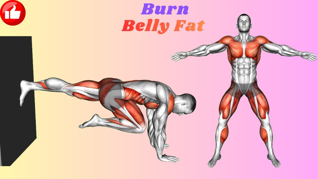 Low Impact Cardio for Beginners (No Jumping / Knee Friendly)
