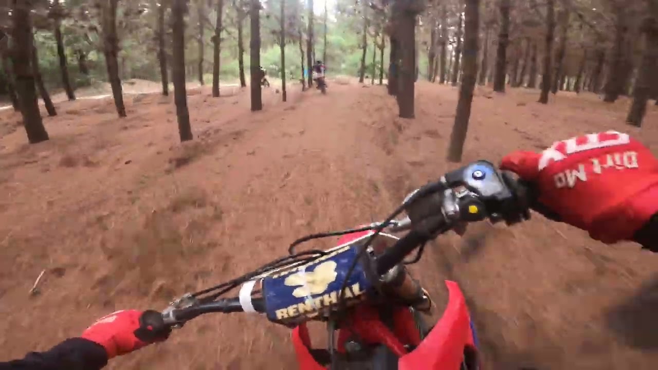 ss2 pasada por el bosque los tilos