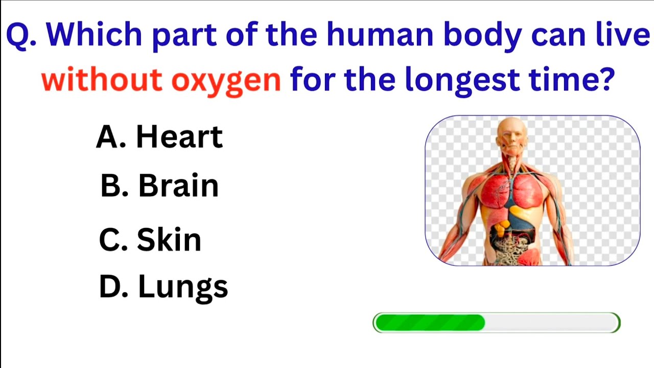 Only 5% Can Pass This Test | Match The Vocabulary Words Challenge