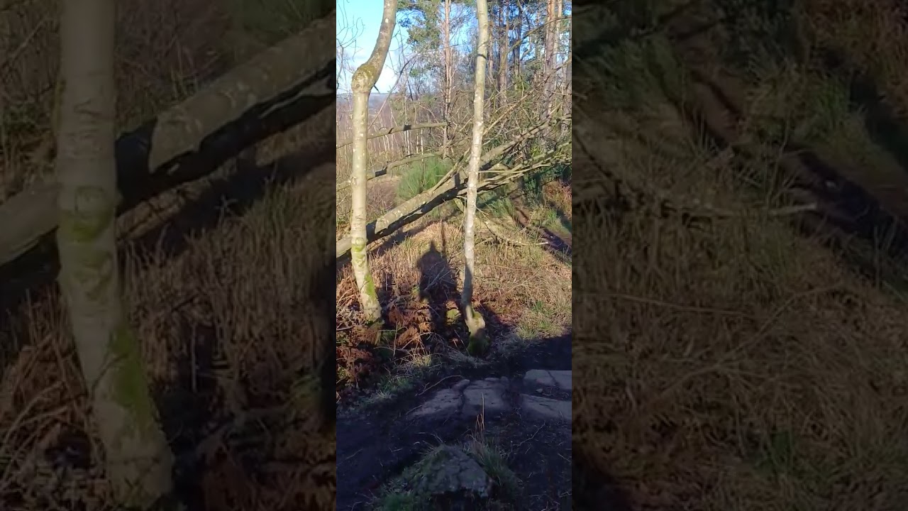 Fell at end but I am OK Upper quarry and gillies hill woodlands 