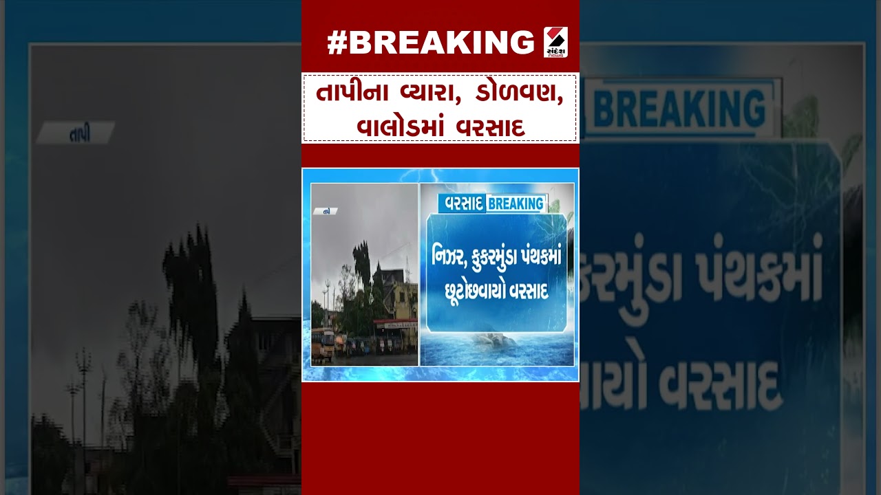 Tapi News | તાપીના વ્યારા, ડોળવણ , વાલોડમાં વરસાદ | Vyara | Monsoon | Weather Update