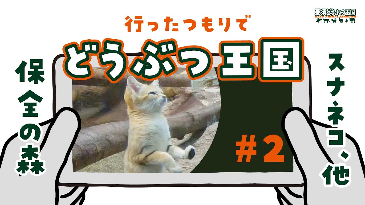 行ったつもりでどうぶつ王国 #2
