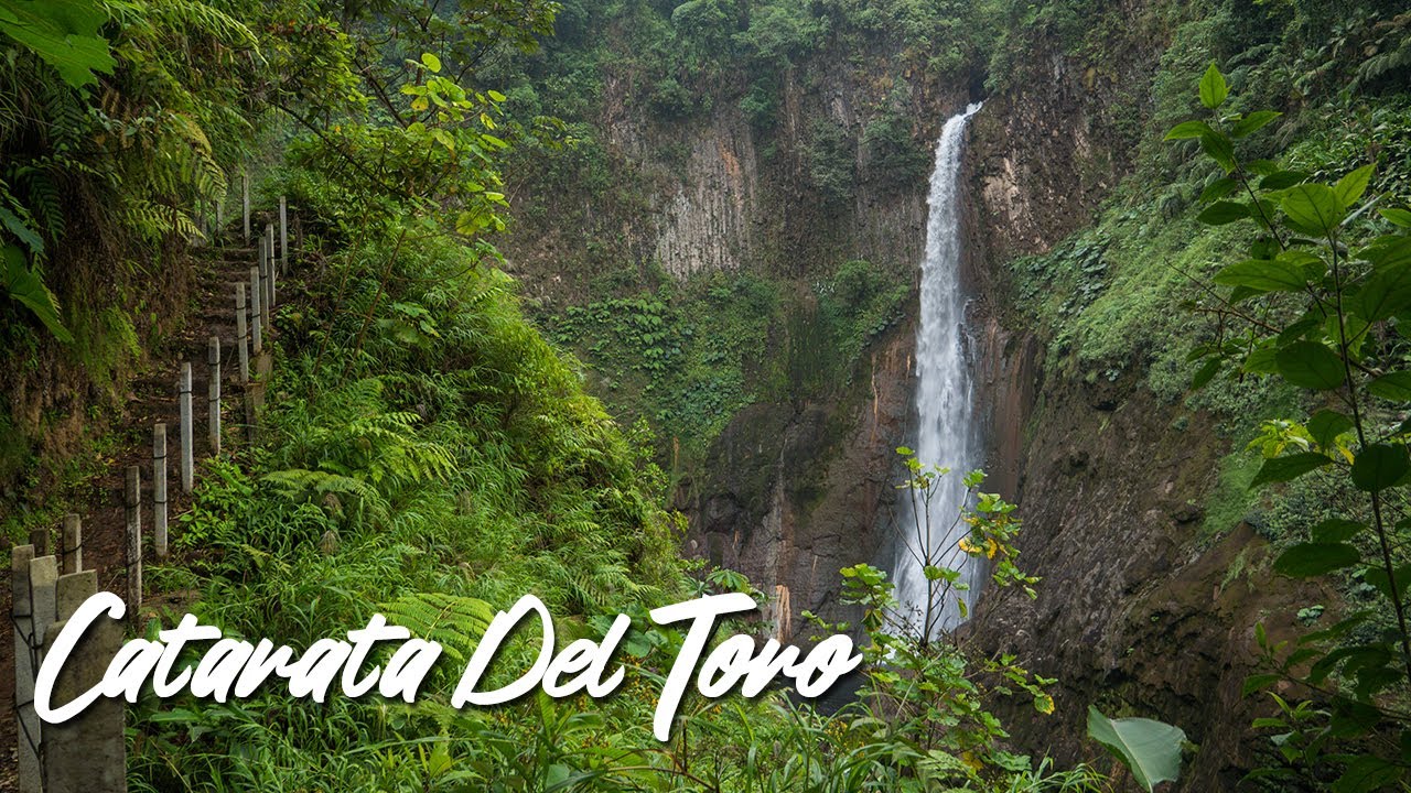 Catarata Del Toro Waterfall in Costa Rica | Alajuela Province
