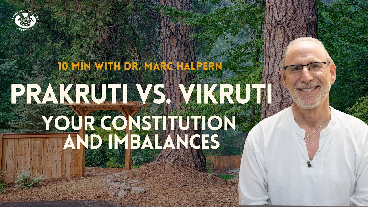 What is Prakruti and Vikruti? | Ayurvedic Constitution | 10 Minutes with Dr. Marc Halpern