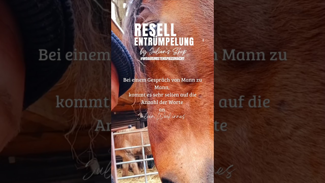 Ein Grummeln reicht! ☝🏻#DerDicke und #icke #realtalk #horse #youtubeshorts #facts #menshealth #funny