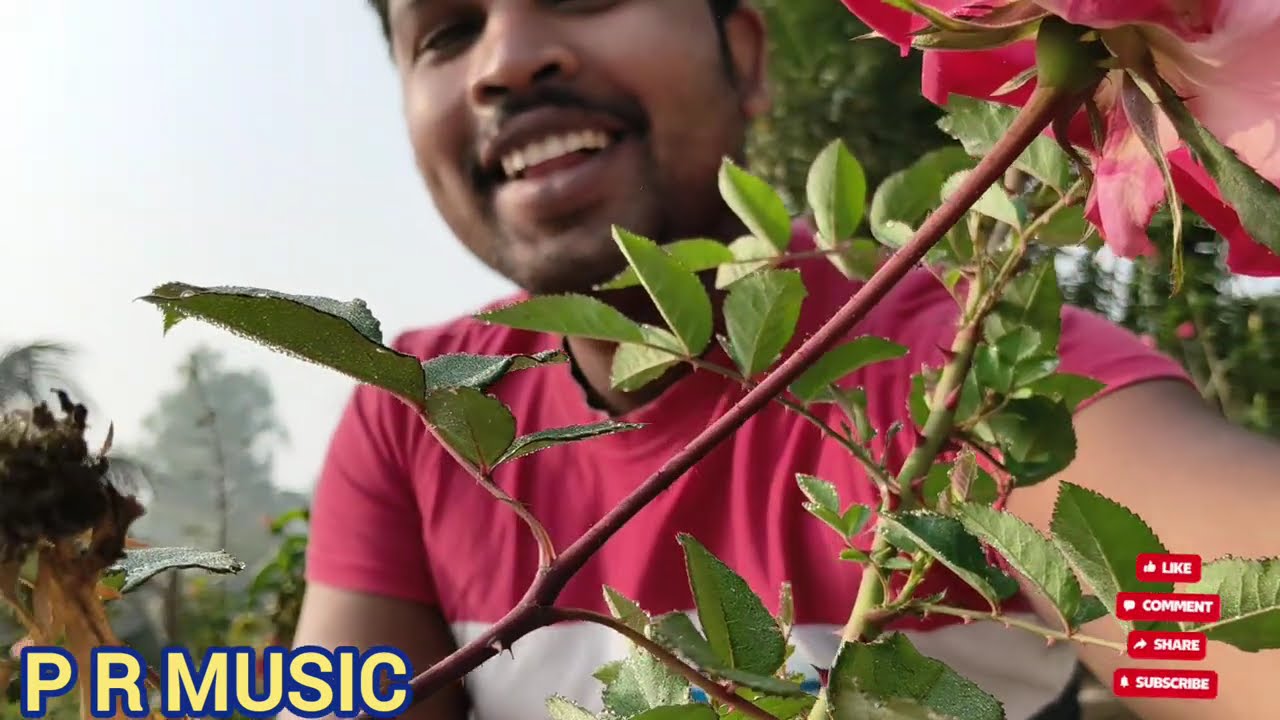 গ্রামগঞ্জ তোলপাড় করার মত সেরা সুপারহিট বাংলা গান 😍 কুমার শানু স্পেশাল বাংলা গান 🥰 ♥️🎸