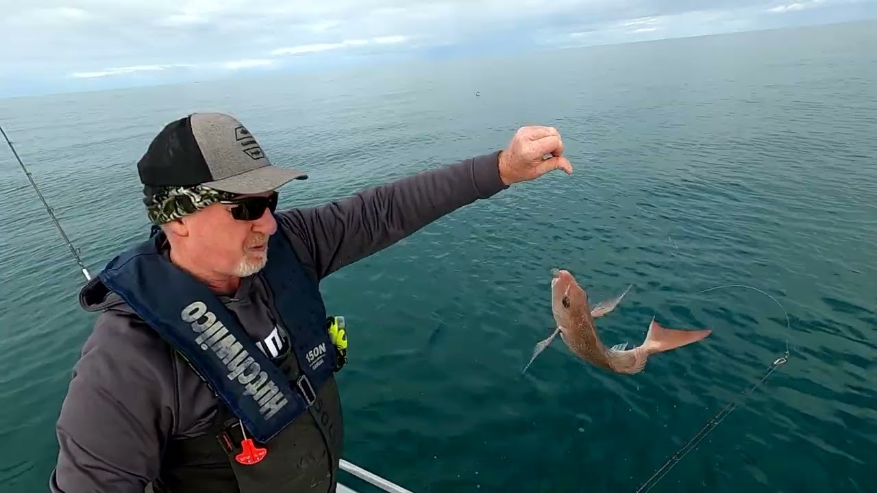 West Coast Snappers Catch and Cook