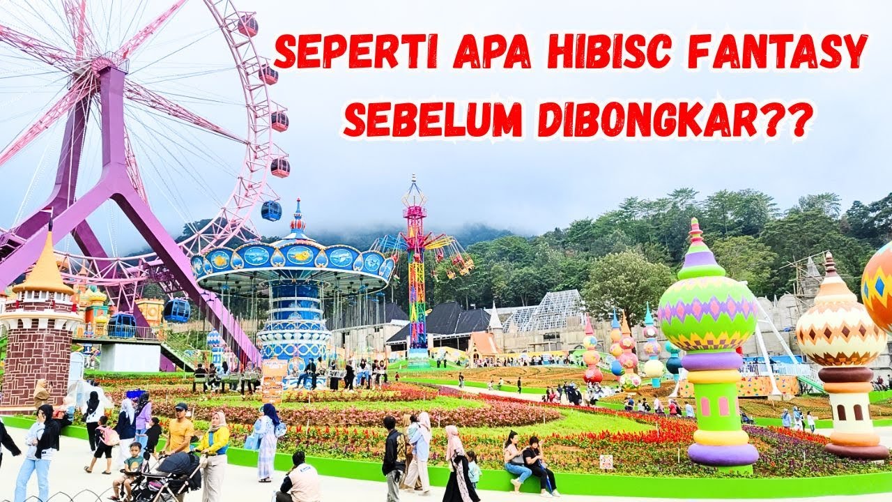 SEPERTI APA HIBISC FANTASY SEBELUM DIBONGKAR ?? #wisatabogor #wisatapuncak
