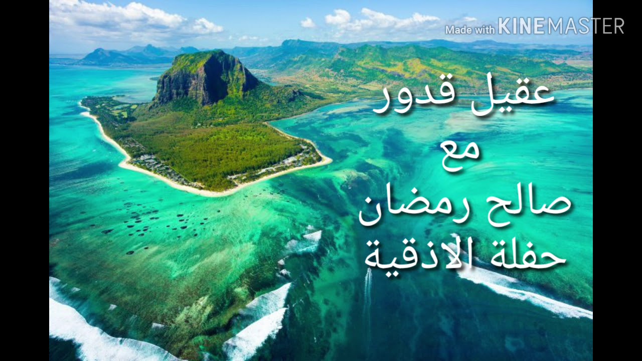 الفنان عقيل قدور ابو كنان مع صالح رمضان ابو نادر( حفلة الاذقية الجزء الاول )