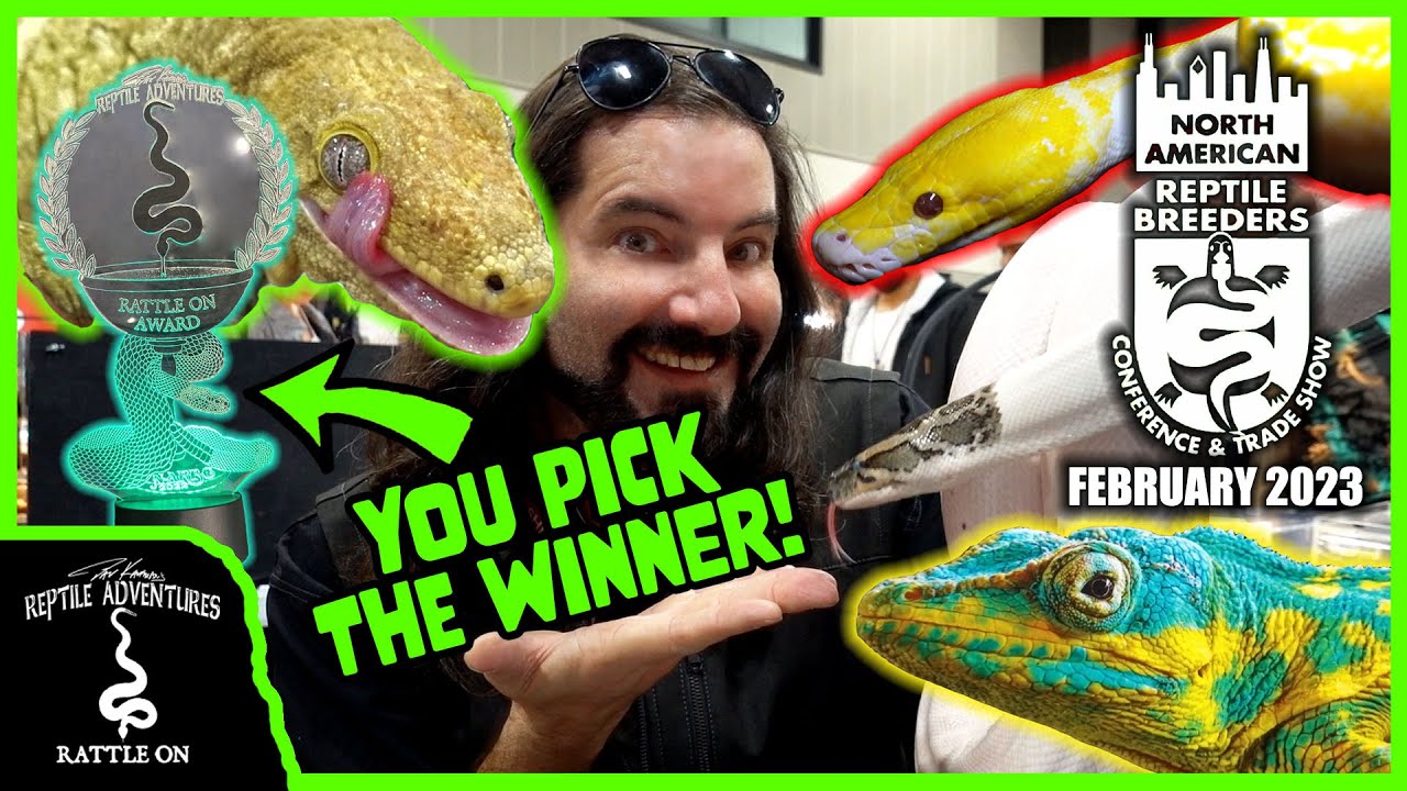 NARBC ARLINGTON, TEXAS REPTILE EXPO! (February, 2023)