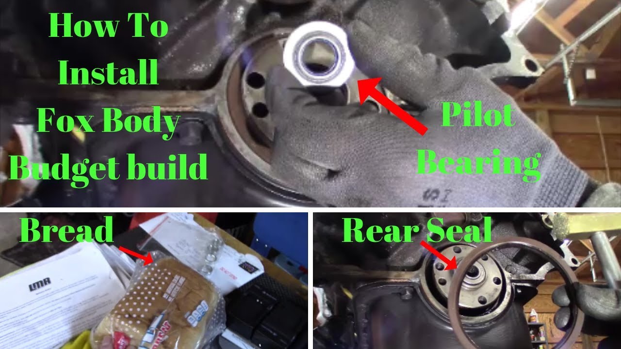 How To Install A Pilot Bearing With Bread And Replace Rear Main Seal Fox Body Budget Build.