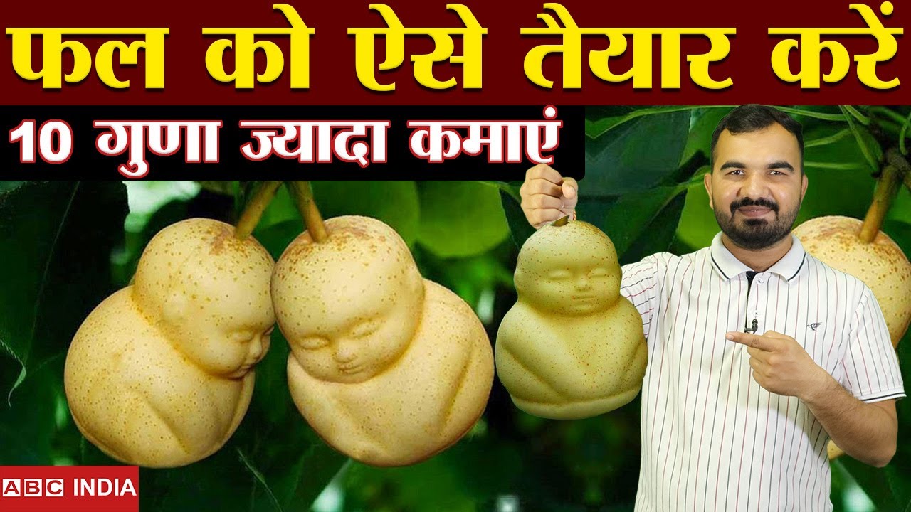 10 गुणा ज़्यादा पैसे मिलते है इन फलों के | Highest Fruit Price | Buddha Shape Fruit | Mold fruit