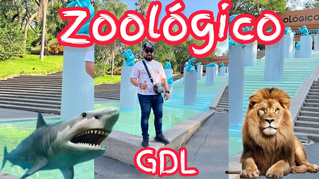 Zoológico Guadalajara 😱 así es como la pasamos 👌🏽