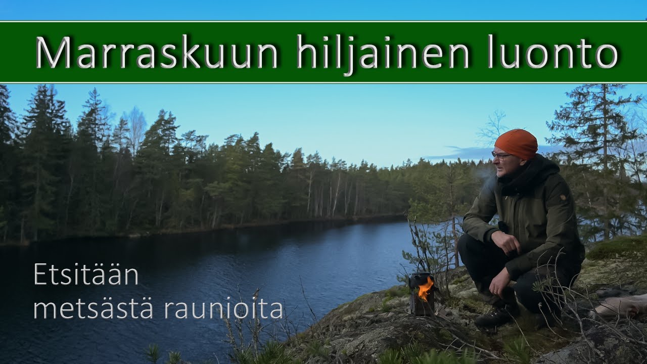 Marraskuinen metsäretki hiljaisessa luonnossa | Etsitään metsästä Porkkalan vuokra-ajan bunkkereita.