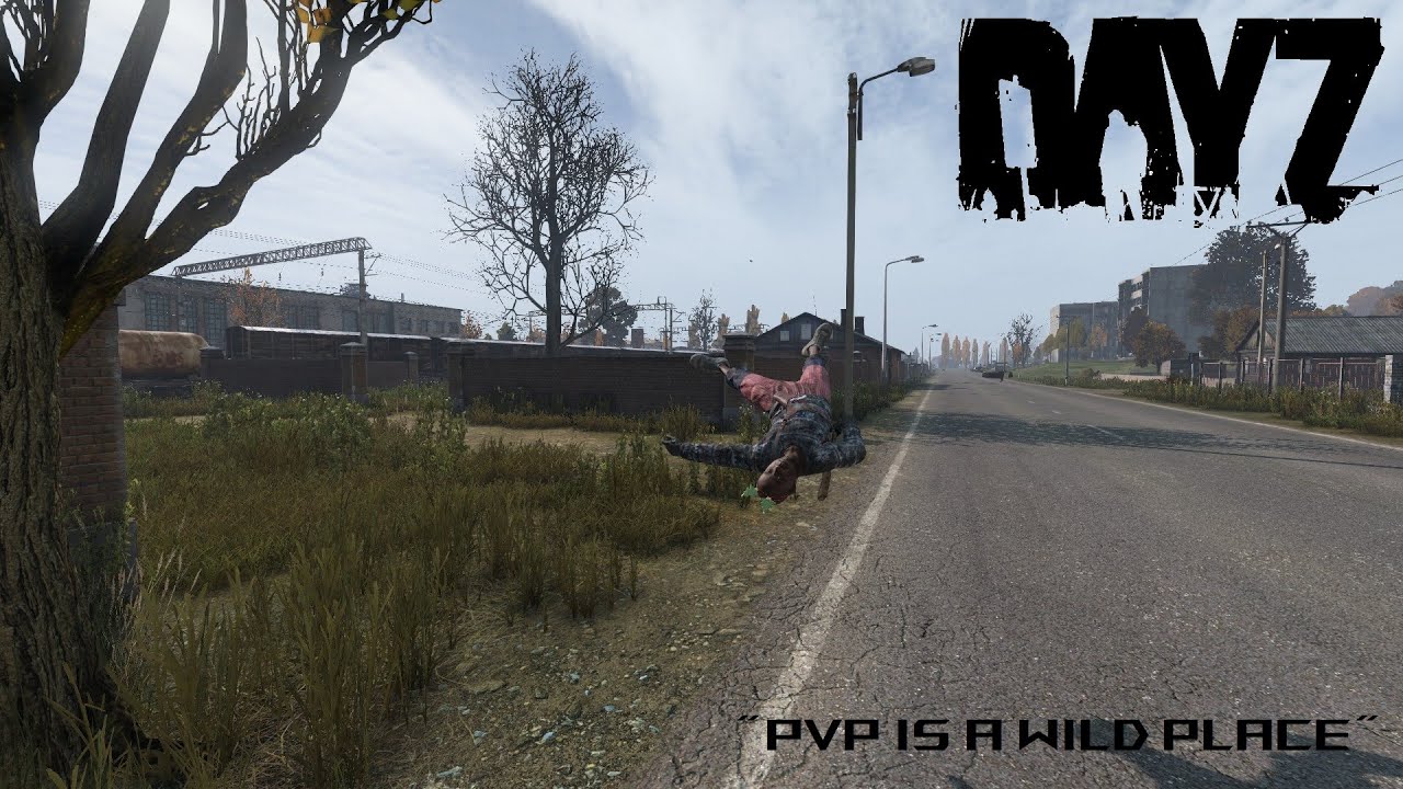 DayZ: Одиночное PVP-приключение, Эпизод 1