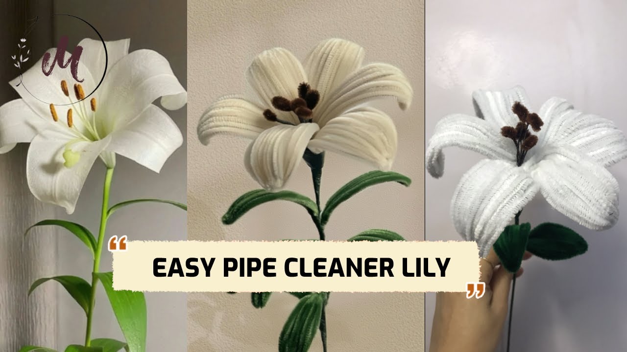 How to make a Pipe Cleaner Lily/ Hướng dẫn làm hoa Lily từ kẽm nhung