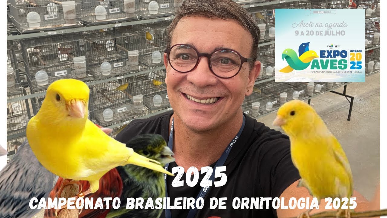 Campeonato Brasileiro FOB 2025. Canarios