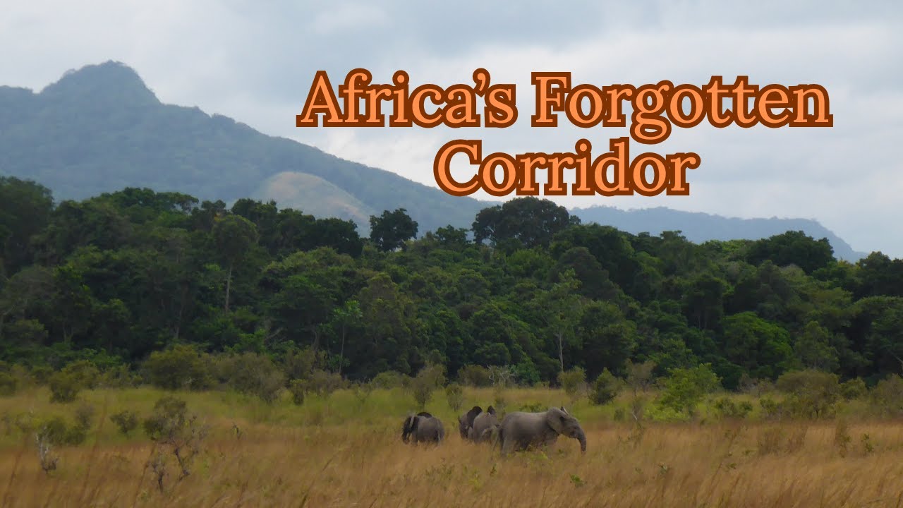 400,000 Years of Life in Lopé-Okanda