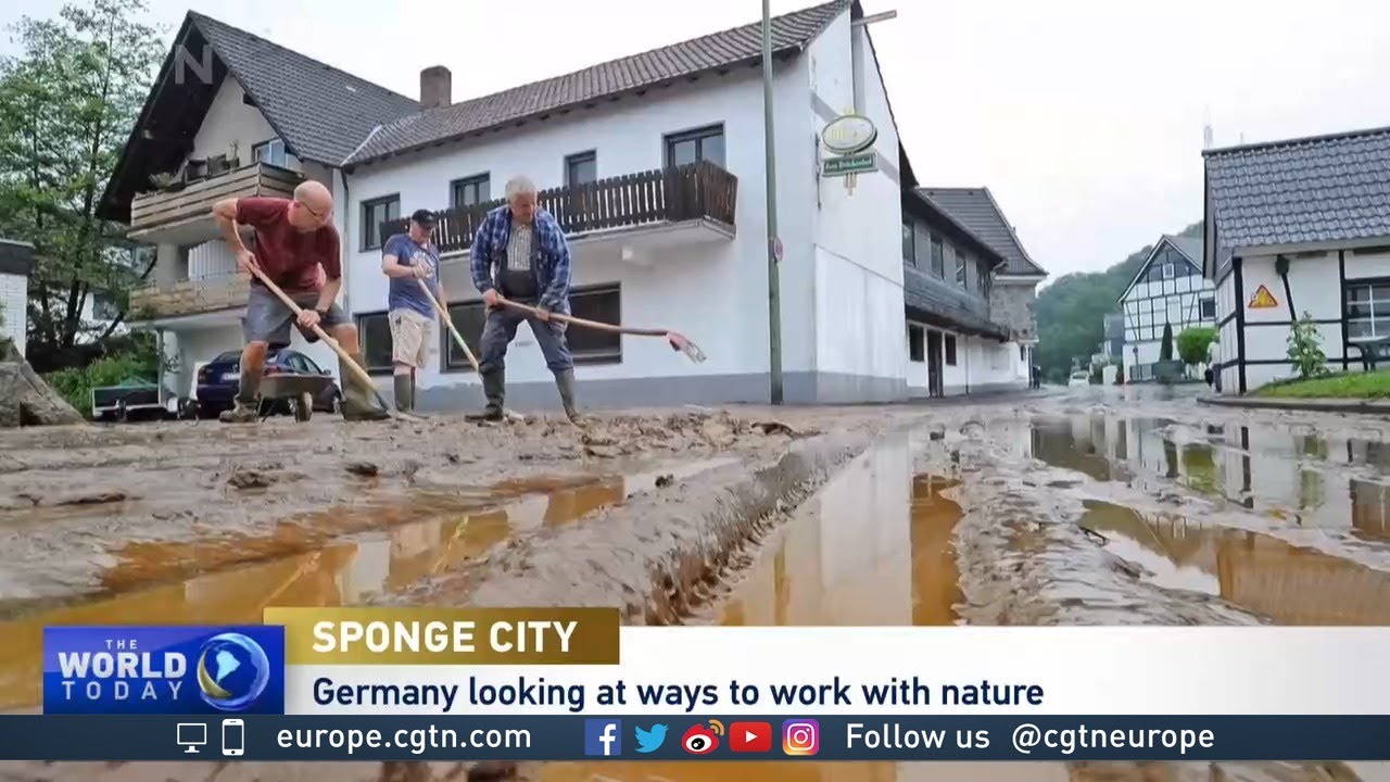 Germany's 'sponge city' aims to prevent flooding