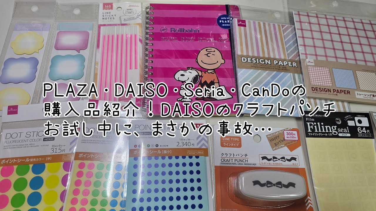 【購入品紹介】クラフトパンチを、お試し中に放送事故😅もう笑うしかない🤣#手帳 #ほぼ日カズン #素材収納 #作業動画 