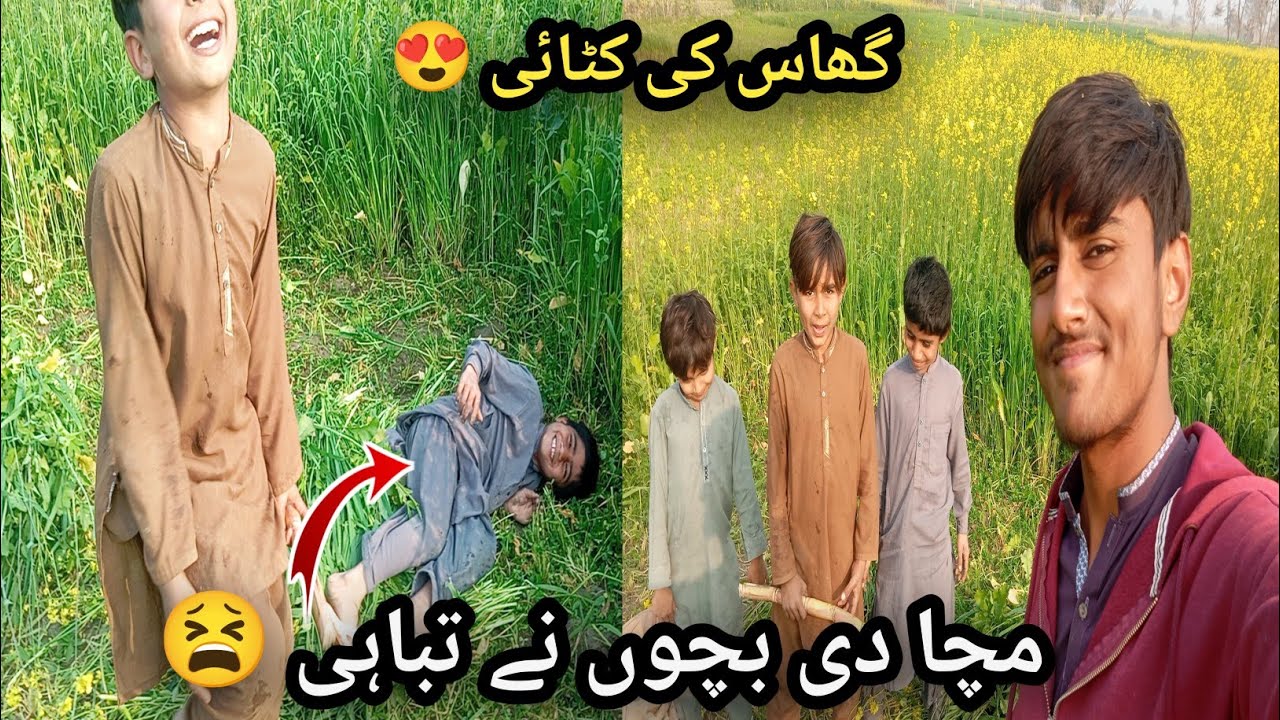 گھاس کی کٹائی 😍 | گاؤں کے بچوں کی مستی نے دل جیت لیا