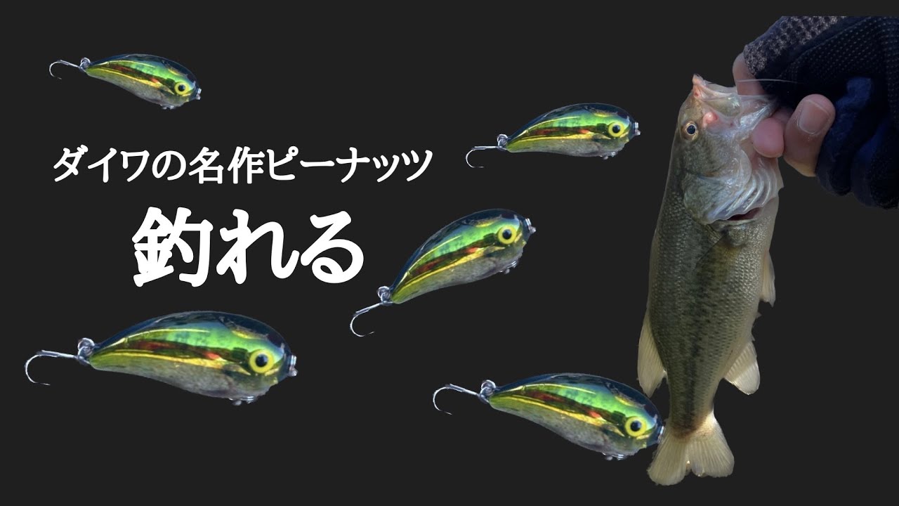 【ダイワの名作】ピーナッツは安くて釣れる「楽しいクランクベイト」