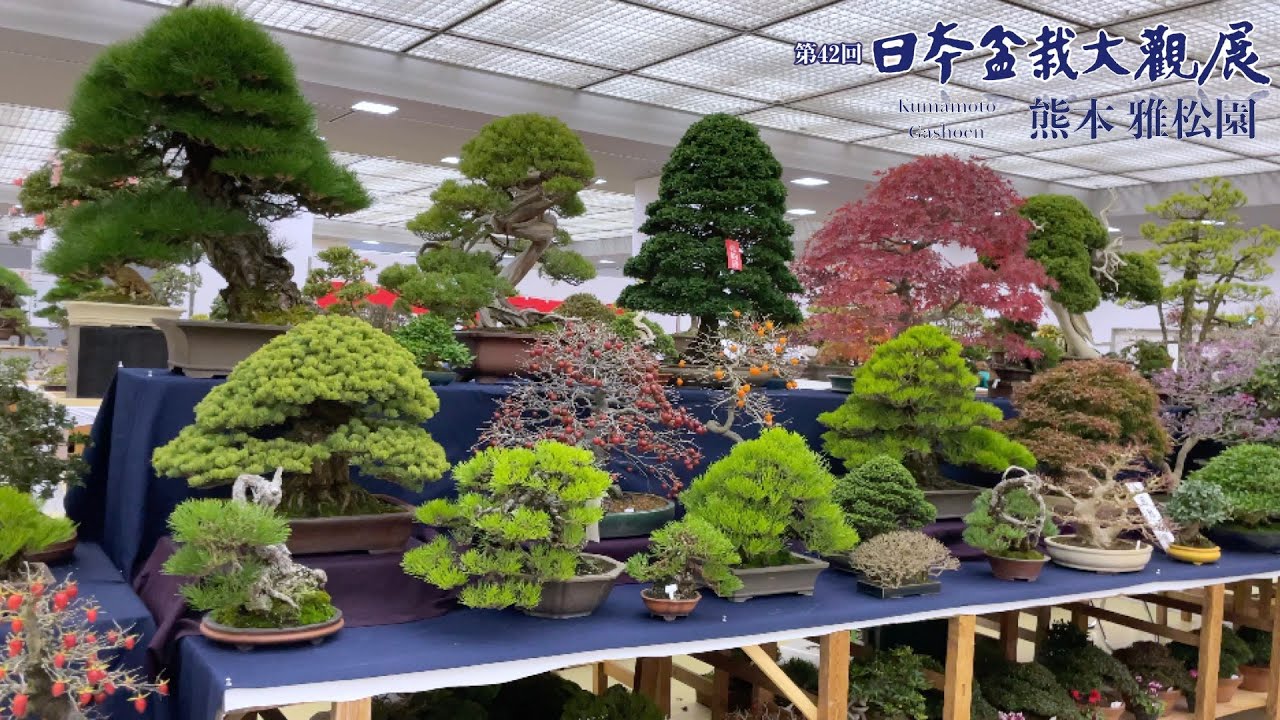 大観展売店 2022 熊本 雅松園 佐々木さんの売店