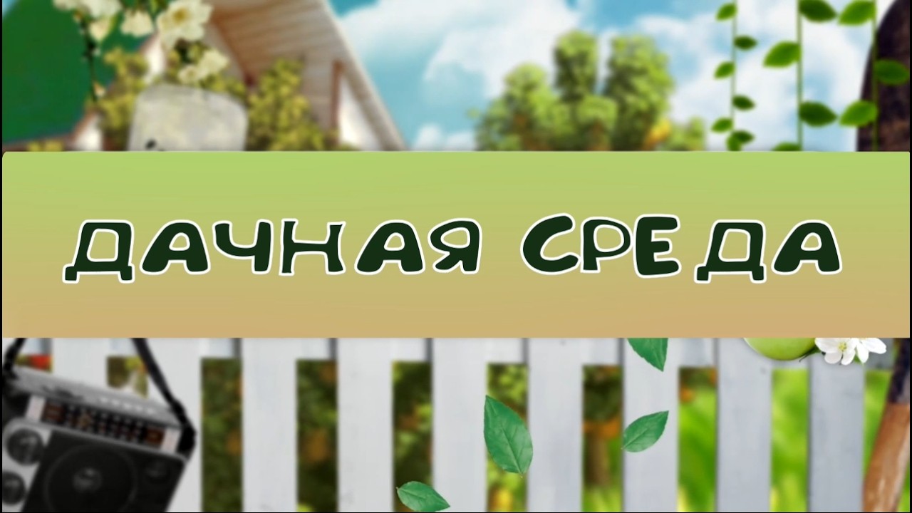 Дачная среда: цветы февраля, что станут красками вашего лета
